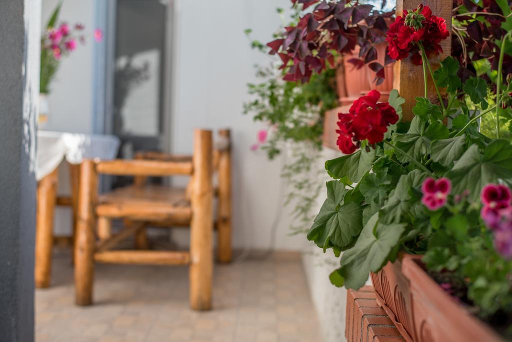 ספרבה בניה Guesthouse Juli מראה חיצוני תמונה